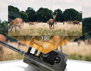 Photo/video trap Tbilisi - photo 1