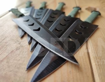 Shurikan Tbilisi - photo 6