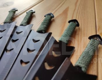 Shurikan Tbilisi - photo 4