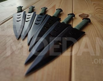 Shurikan Tbilisi - photo 3