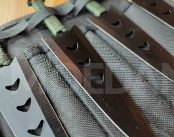 Shurikan Tbilisi - photo 2