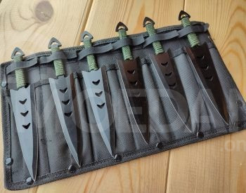 Shurikan Tbilisi - photo 1