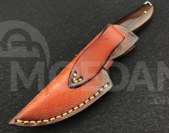 Დანა დანა თბილისი - photo 2