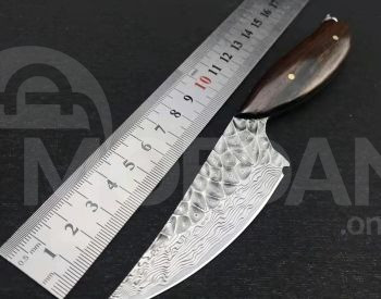 Დანა დანა თბილისი - photo 3