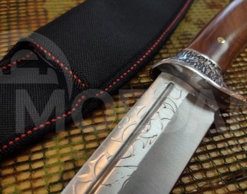 დანა დანა თბილისი - photo 1