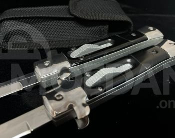 კეცვადი დანა თბილისი - photo 2