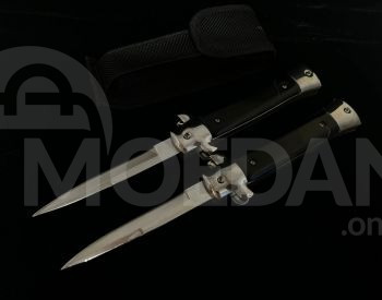 კეცვადი დანა თბილისი - photo 1