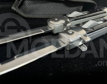 კეცვადი დანა თბილისი - photo 3