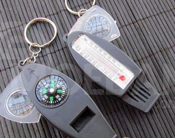 Бралок счет 4:1 Тбилиси - изображение 2