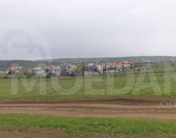 Продажа сельскохозяйственной земли в Цавкисе Тбилиси - изображение 3