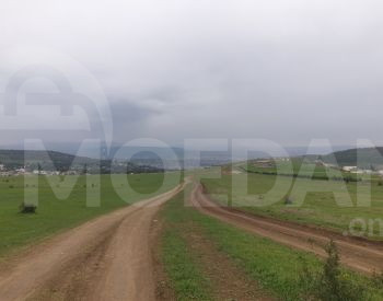 Agricultural land for sale in Tsavkis Tbilisi - photo 4