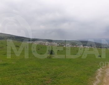 Продажа сельскохозяйственной земли в Цавкисе Тбилиси - изображение 2