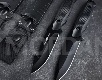 კეცვადი დანა თბილისი - photo 4