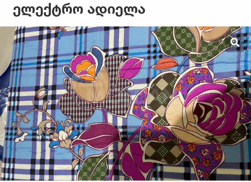 Электрическая Адиела Тбилиси - изображение 4