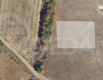 An agricultural plot of land near Bazaleti lake is for sale Tbilisi - photo 1