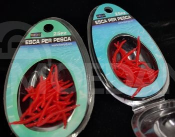 Приманка Тбилиси - изображение 1