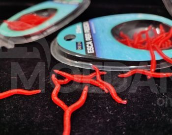 Приманка Тбилиси - изображение 3