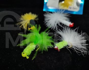 хвойный Тбилиси - изображение 2