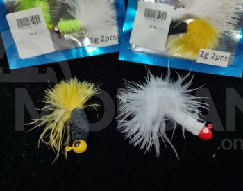 хвойный Тбилиси - изображение 1