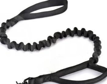 seatbelt Tbilisi - photo 1