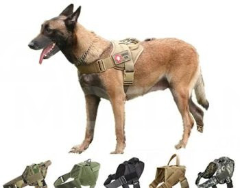 Harness Tbilisi - photo 1