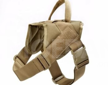 Harness Tbilisi - photo 3