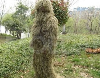 advice Tbilisi - photo 2