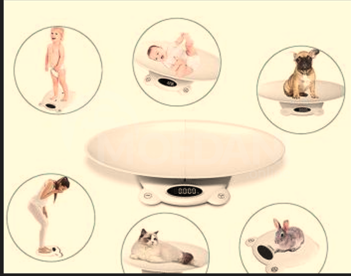 სასწორი ბავშვის თბილისი - photo 1