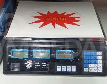 Весы Тбилиси - изображение 1