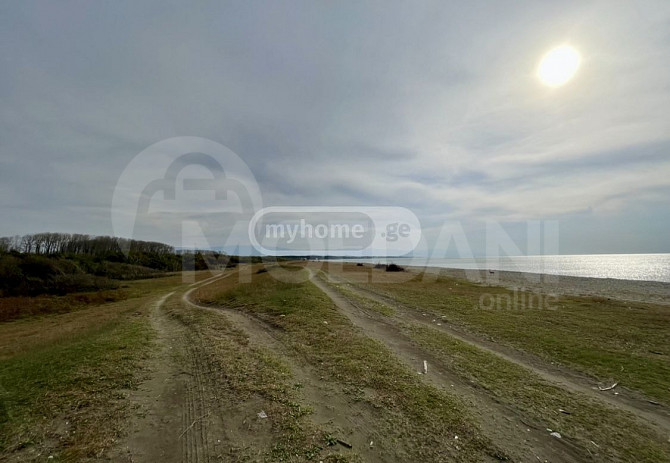 Agricultural land for sale in Lanchkhuti Tbilisi - photo 3