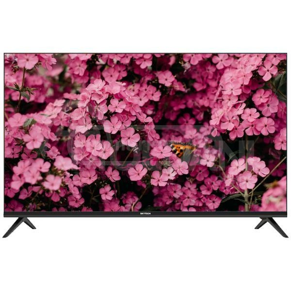 TV SkyTech SKYTECH STV24N9000 Tbilisi - photo 1