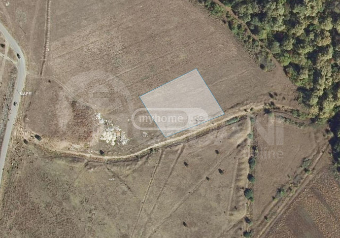 An agricultural plot of land near Bazaleti Lake is for sale Tbilisi - photo 2