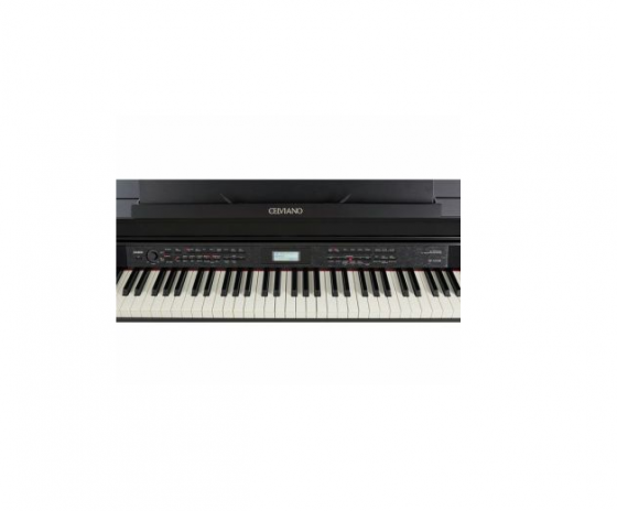 Casio AP-650 MBK Celviano Digital Piano ციფრული პიანინო თბილისი