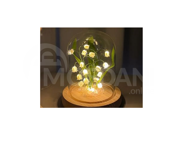 Светящиеся цветы Тбилиси - изображение 2