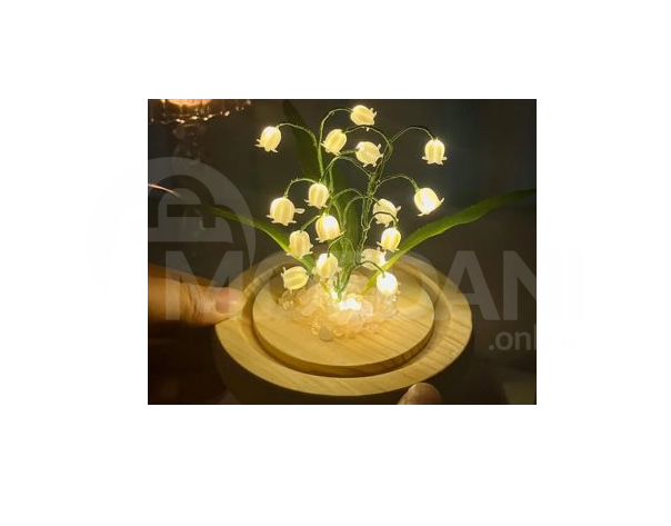 Светящиеся цветы Тбилиси - изображение 1