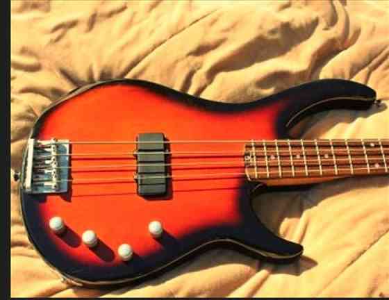 Peavey Furry II Bass Guitar ბას გიტარა თბილისი