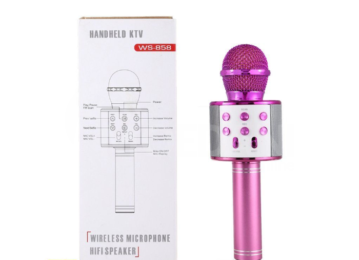 კარაოკე მუსიკალური მიკროფონი თბილისი - photo 1