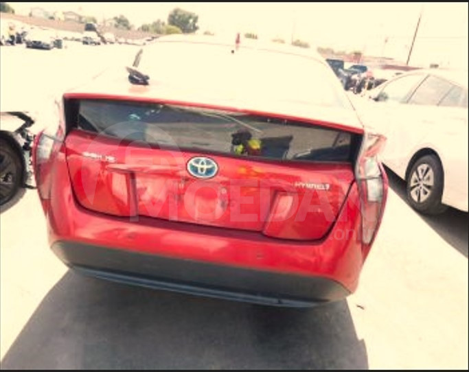  თბილისი - photo 13