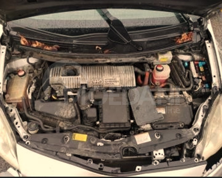  თბილისი - photo 4