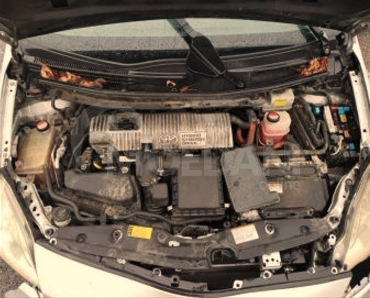  თბილისი - photo 14