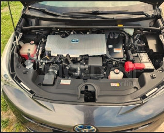  თბილისი - photo 8