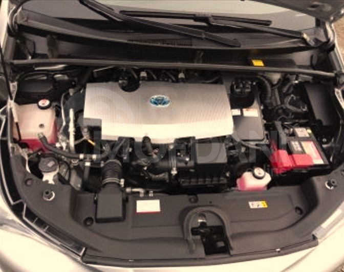  თბილისი - photo 7