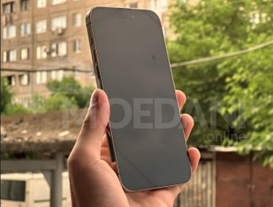 iPhone 14 Pro Max Gold 256GB თბილისი - photo 6