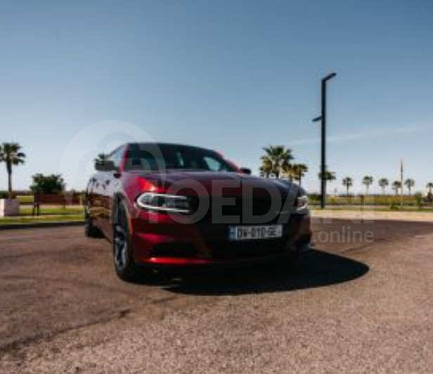 Dodge Charger 2019 თბილისი - photo 2