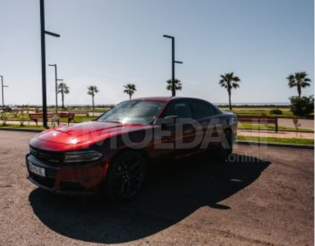 Dodge Charger 2019 თბილისი - photo 3