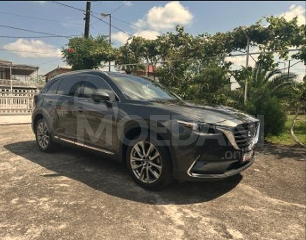 Mazda CX-9 2.5L 2019 თბილისი - photo 3