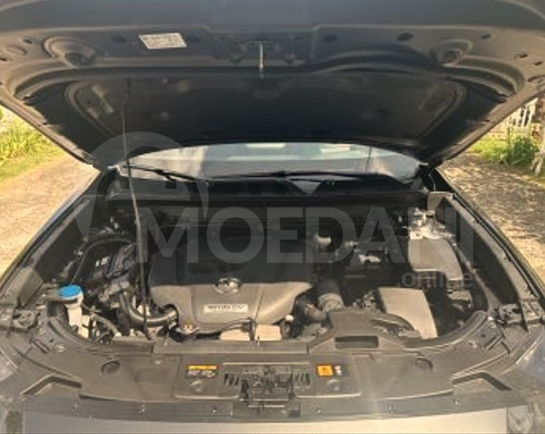 Mazda CX-9 2.5L 2019 თბილისი - photo 12
