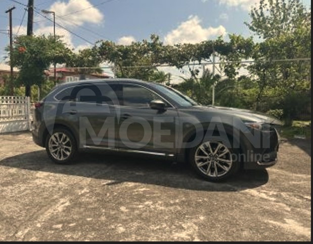 Mazda CX-9 2.5L 2019 თბილისი - photo 4