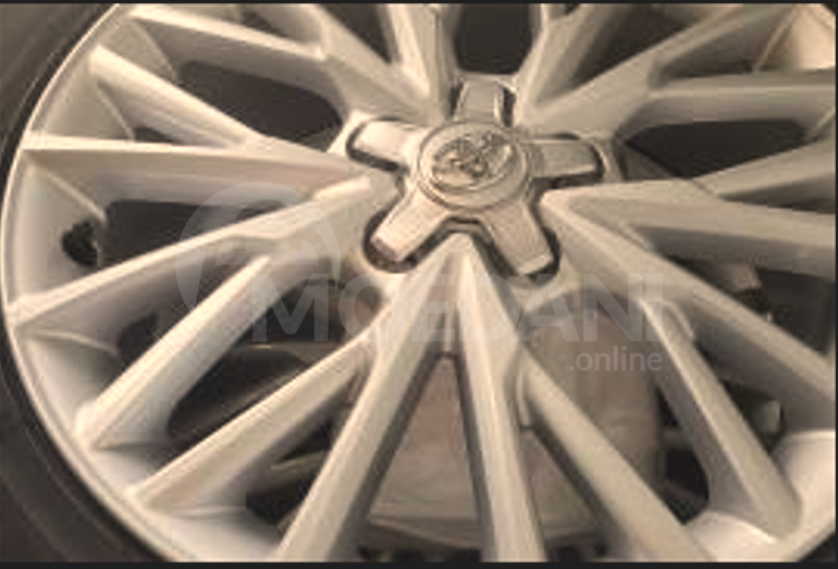 Весы Тбилиси - изображение 2