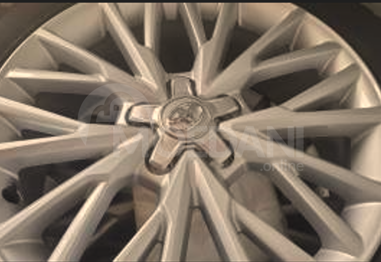 Весы Тбилиси - изображение 4